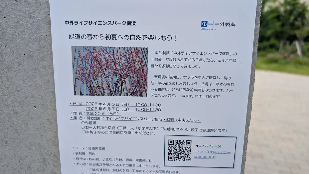 緑道で開催される自然観察イベントの案内板｜親子で春から初夏の自然を楽しもう