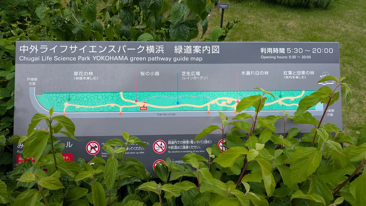 中外ライフサイエンスパーク横浜 緑道案内図｜草花の林・桜の小路・芝生広場・木漏れ日の林・紅葉と団栗の林の5エリアを表示