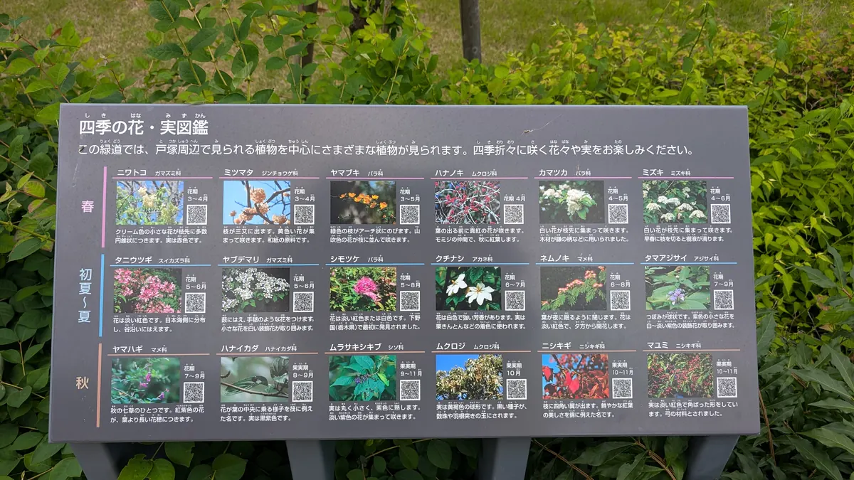 中外ライフサイエンスパーク横浜 緑道の「四季の花・実図鑑」看板｜春夏秋の植物18種を写真付きで紹介