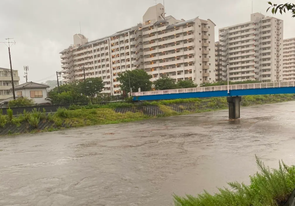 豪雨で水位が上がった柏尾川|濁った水と橋・周辺マンション