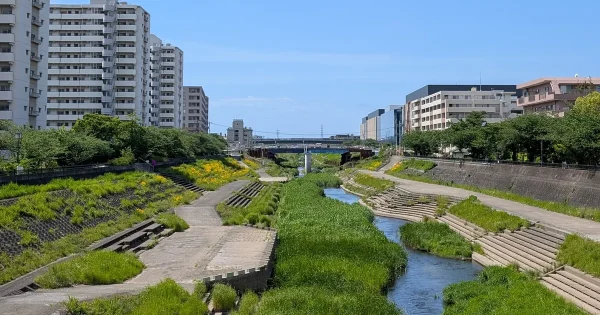 戸塚駅近くを流れる柏尾川｜整備された遊歩道が続く春の風景