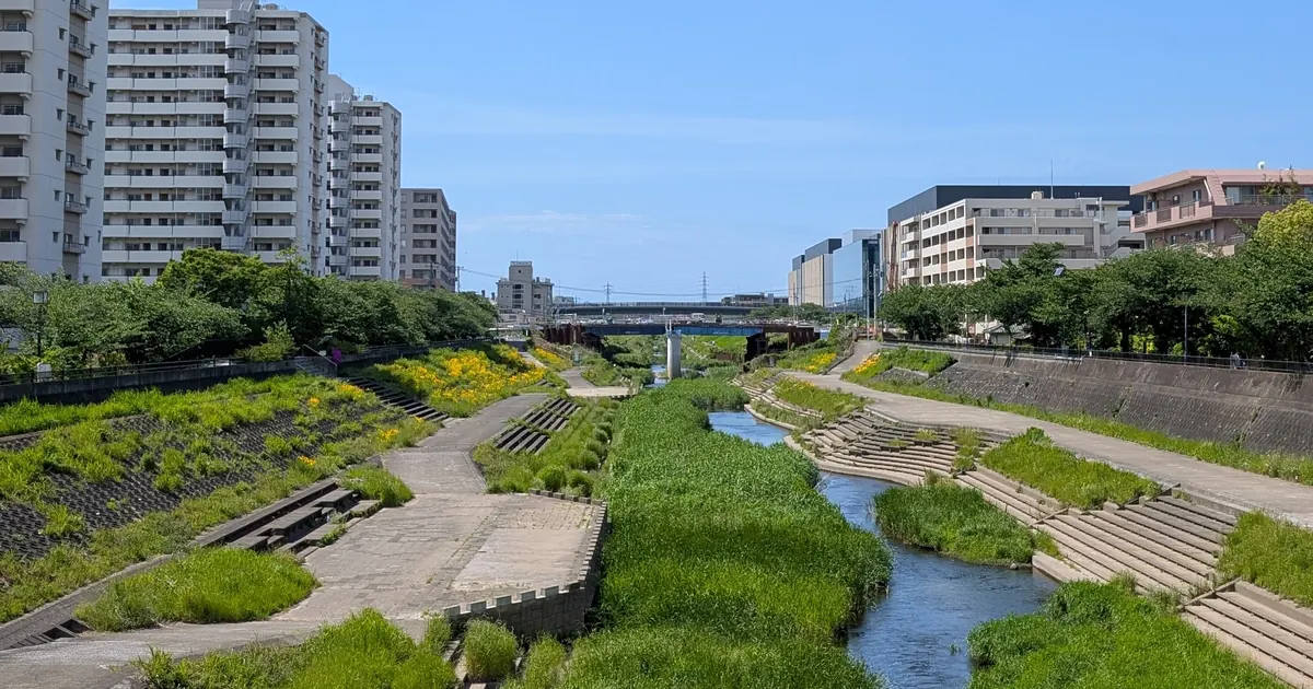 戸塚駅近くを流れる柏尾川｜整備された遊歩道が続く春の風景