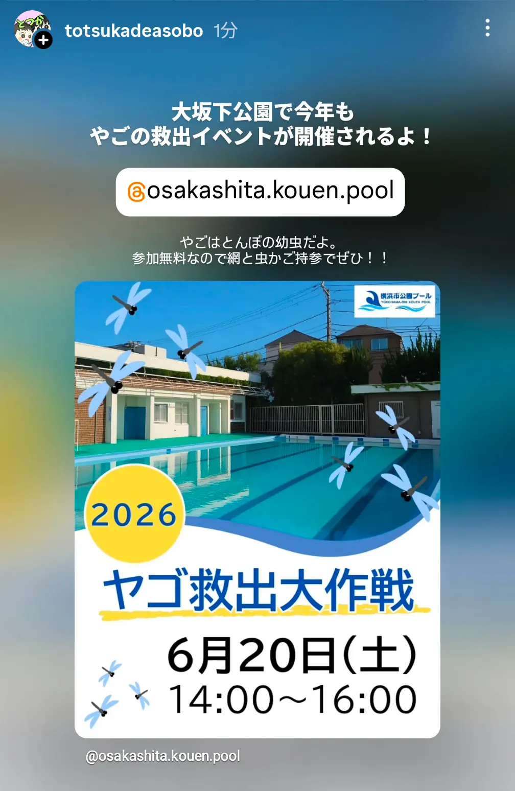大坂下公園「2026 ヤゴ救出大作戦」告知|6月20日(土)14:00〜16:00・参加無料のやご救出イベント