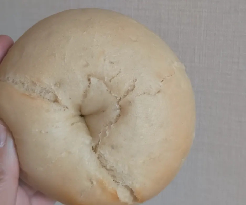 ふわふわプレーンベーグルの断面|食パンのようなふわふわ食感