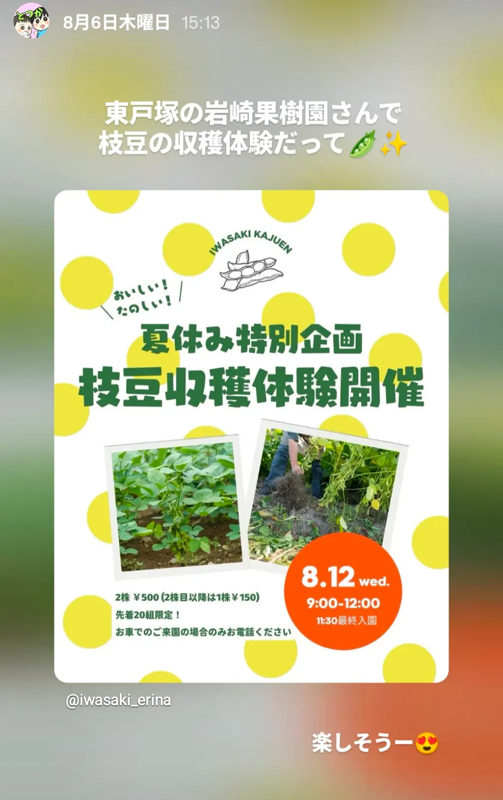 岩崎果樹園(東戸塚)の夏休み特別企画・枝豆収穫体験の案内チラシ|8月12日開催
