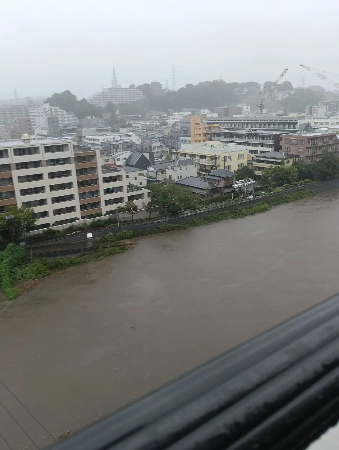 台風25号で増水した柏尾川を近くの建物から見下ろした様子｜2026年9月21日15時半ごろ