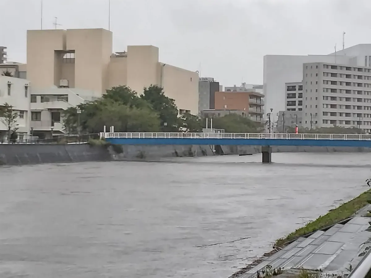 台風25号で増水した柏尾川と青い欄干の橋｜2026年9月21日16時半ごろ川沿いから撮影