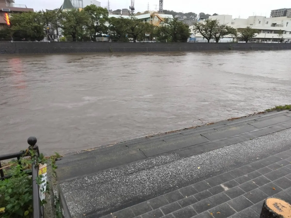 水辺の段差のすぐ下まで水位が上がった柏尾川｜台風25号の日に川沿いから撮影