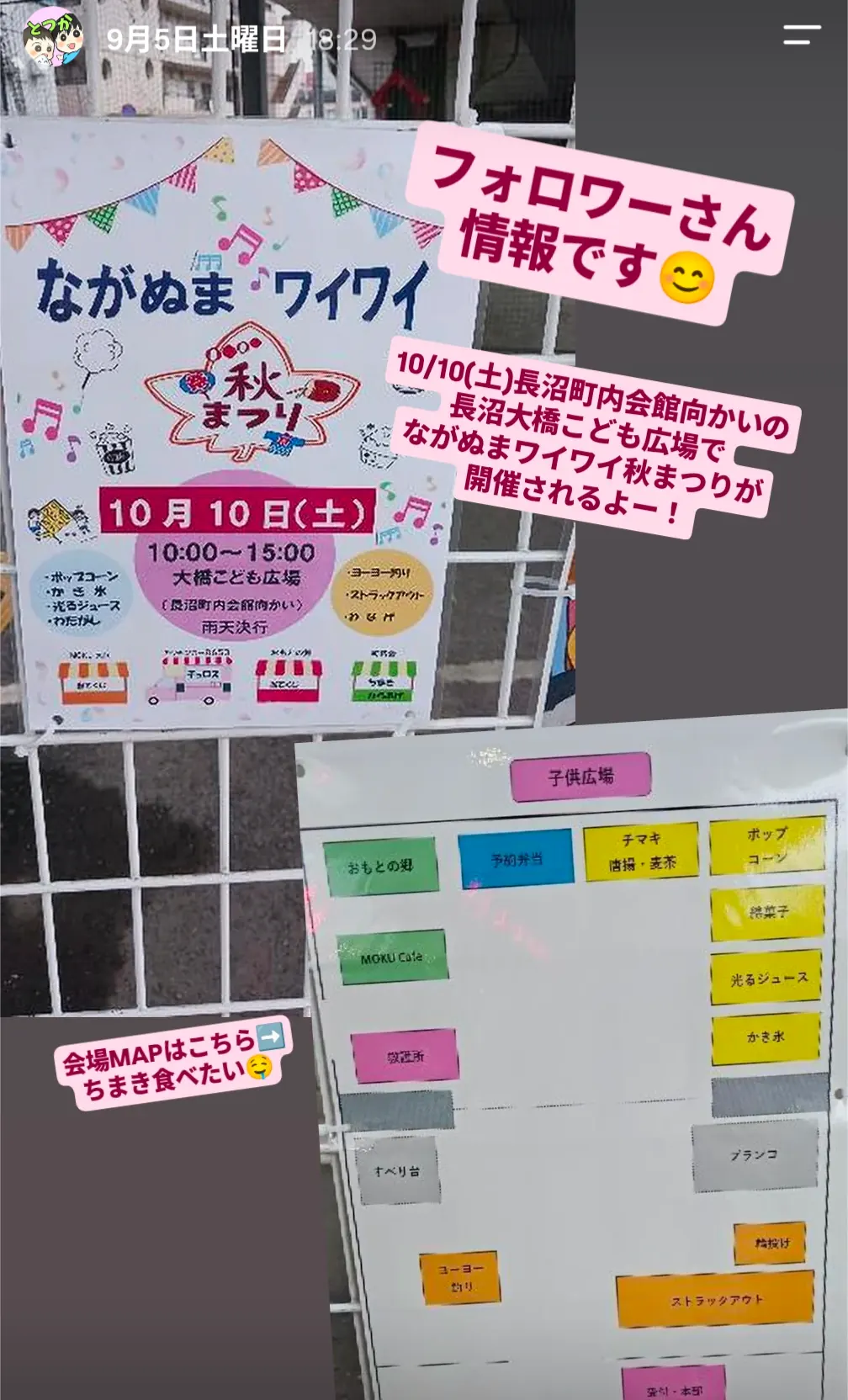 ながぬまワイワイ秋まつりのチラシ(10月10日開催・長沼大橋こども広場)